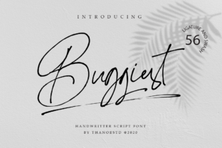 Buggiest: A Bold Script Font for Marketers