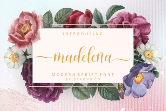 How Madelena Font Transformed My Café’s Branding