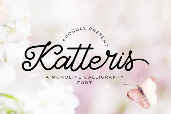 Katteris: A Premium Script Font for Web Design