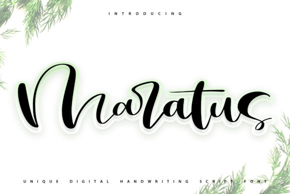 Maratus: A Handwritten Font for Modern Editorial Design