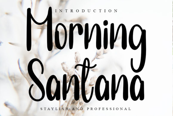 Morning Santana: A Clean Handwritten Font for Business Branding