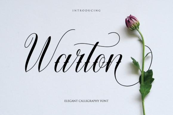Warton: The Elegant Script Font for Your Brand